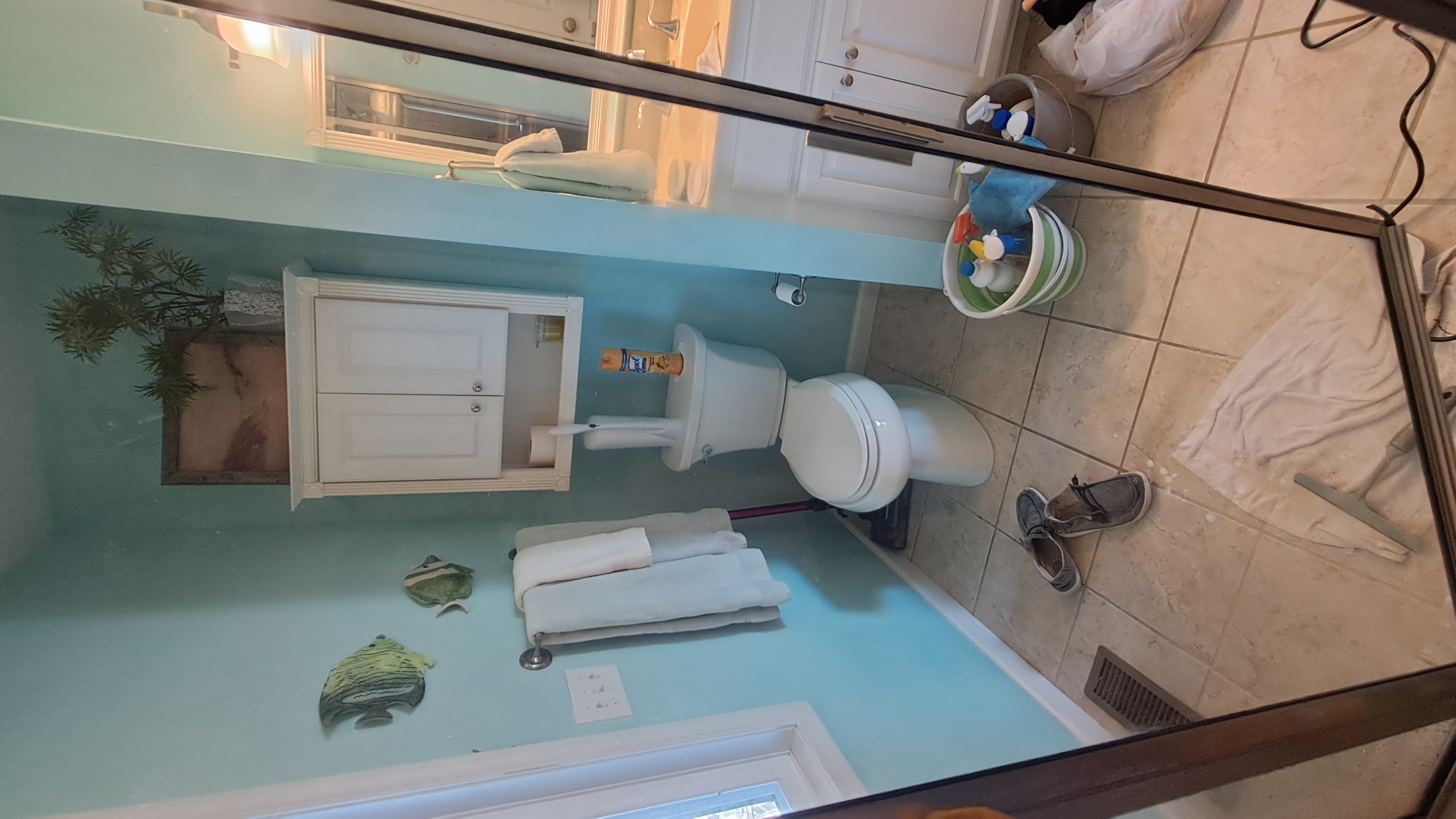 Glass Shower door after